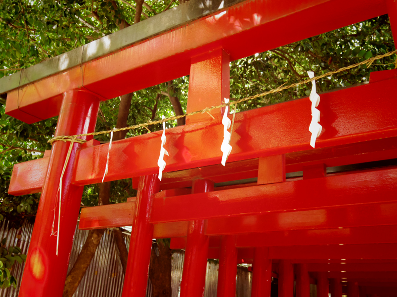 新宿花園神社真紅の鳥居