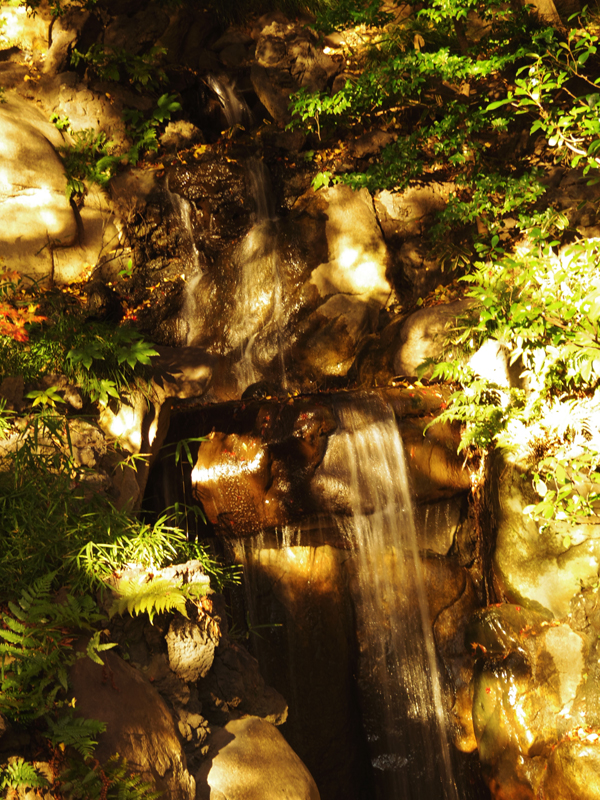 旧古河庭園の大滝