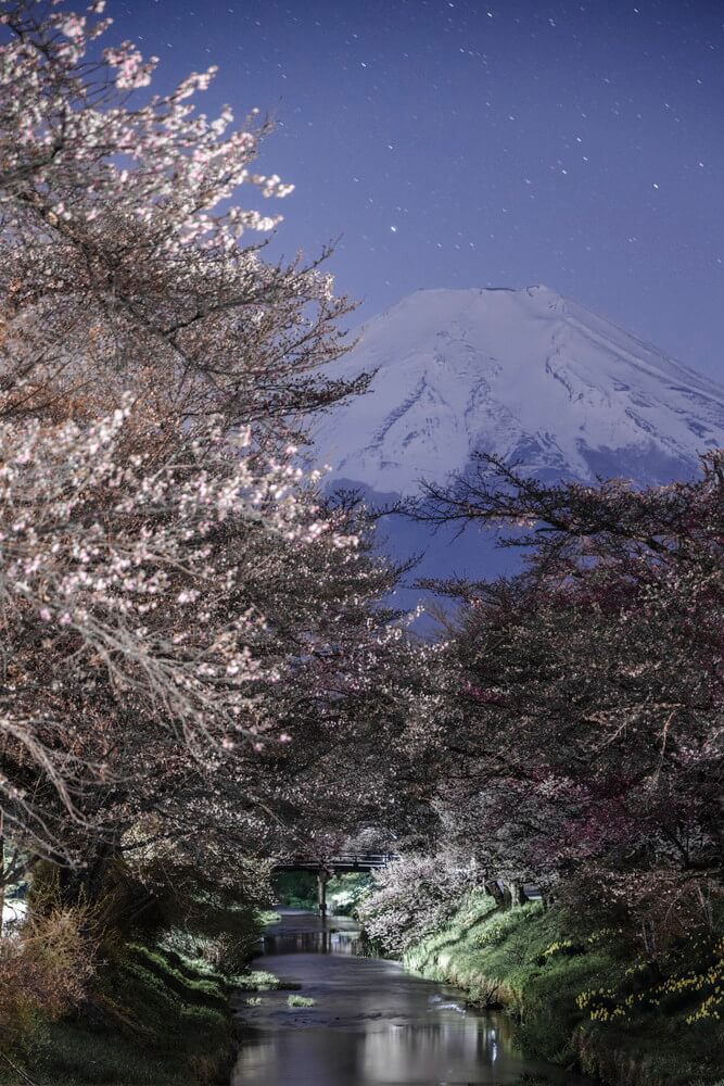 夜の忍野 夜の忍野