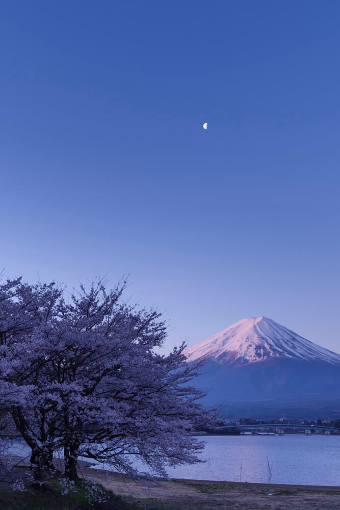 月の灯が残るとき 月の灯が残るとき